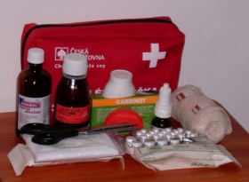 lékarnička první pomoci a další doplňující vybavení a léky (ilustrační foto)