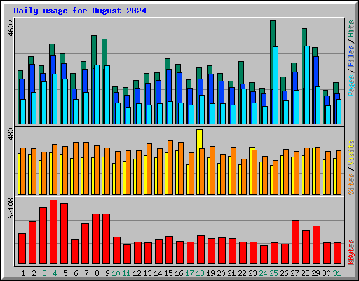 Daily usage for August 2024