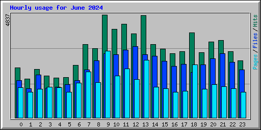 Hourly usage for June 2024