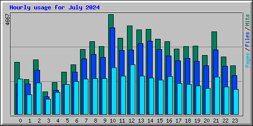 Hourly usage for July 2024