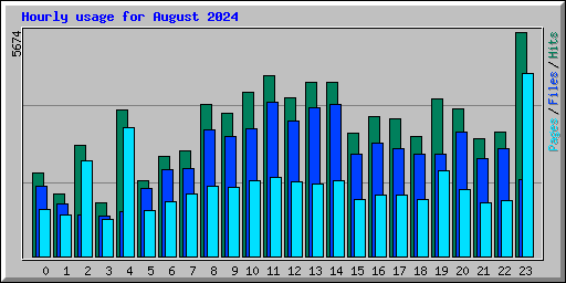 Hourly usage for August 2024