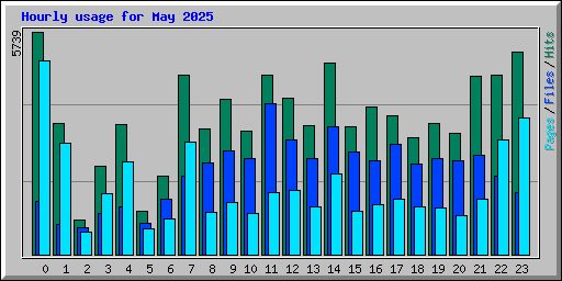 Hourly usage for May 2025