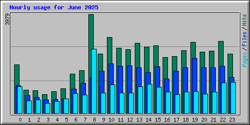 Hourly usage for June 2025