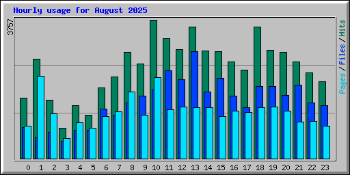 Hourly usage for August 2025