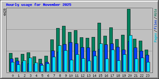 Hourly usage for November 2025