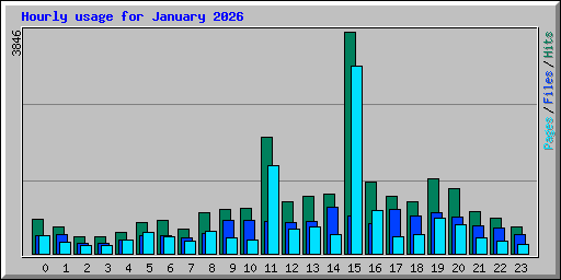 Hourly usage for January 2026
