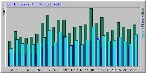 Hourly usage for August 2026